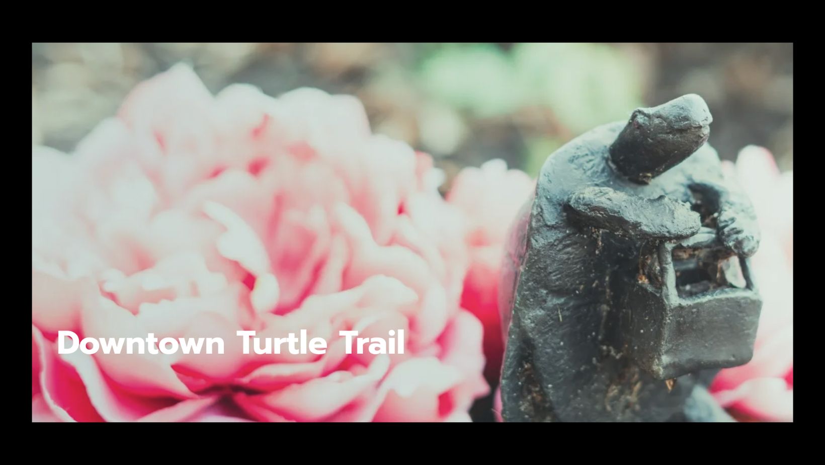 Downtown Turtle Trail (Decatur) River City Mom Decatur and