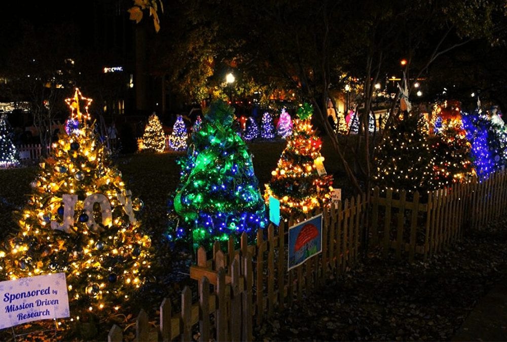 christmas trees lit up in big spring park tinsel trail